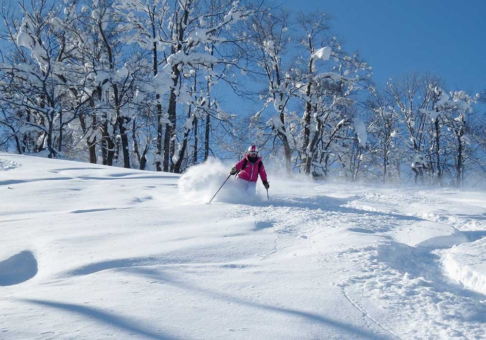 🏂 카무이 스키 링크스 이미지 3